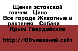 Щенки эстонской гончей › Цена ­ 7 000 - Все города Животные и растения » Собаки   . Крым,Гвардейское